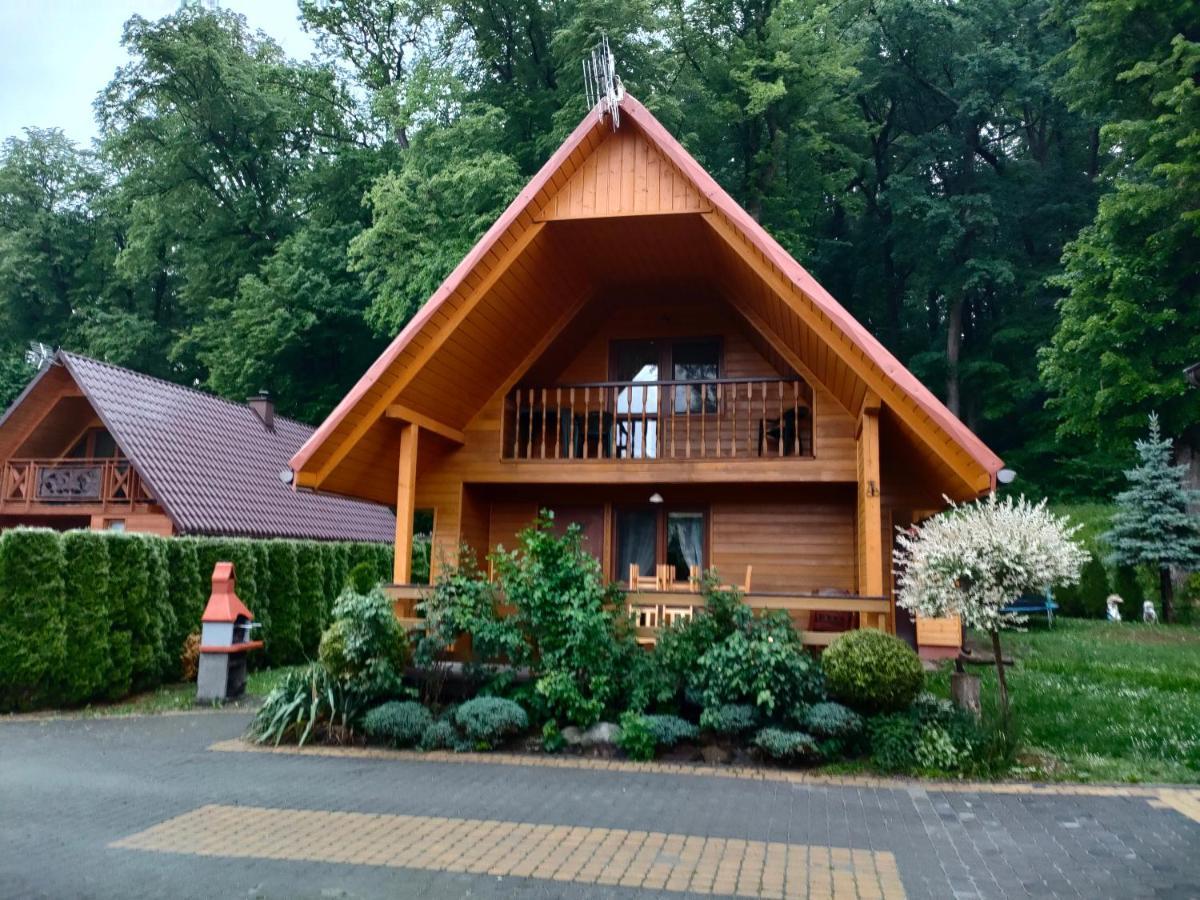 Domki I Pokoje U Borsa Лєско Номер фото